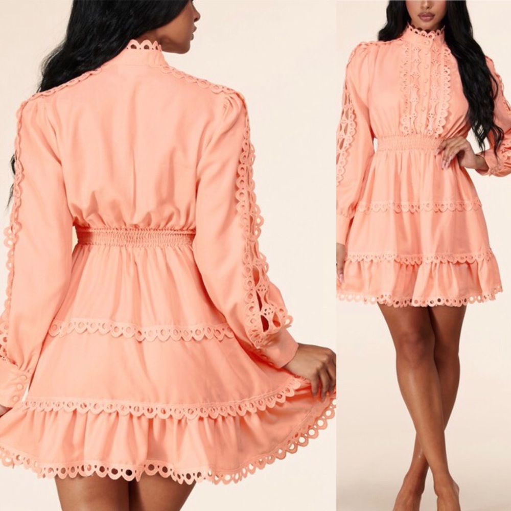 Pretty Blush Dress